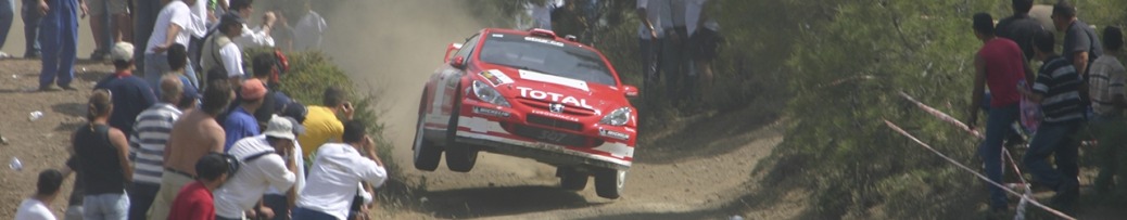 WRC 2004, Rally de Chipre, Gronholm, Foto: Leonid Mamchenkov CC