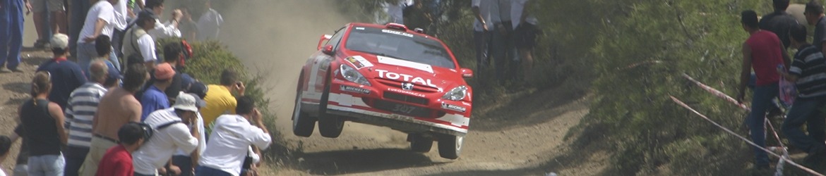 WRC 2004, Rally de Chipre, Gronholm, Foto: Leonid Mamchenkov CC